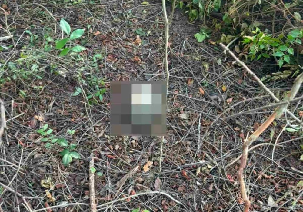 Ossada Supostamente Humana E Encontrada Em Feira de Santana