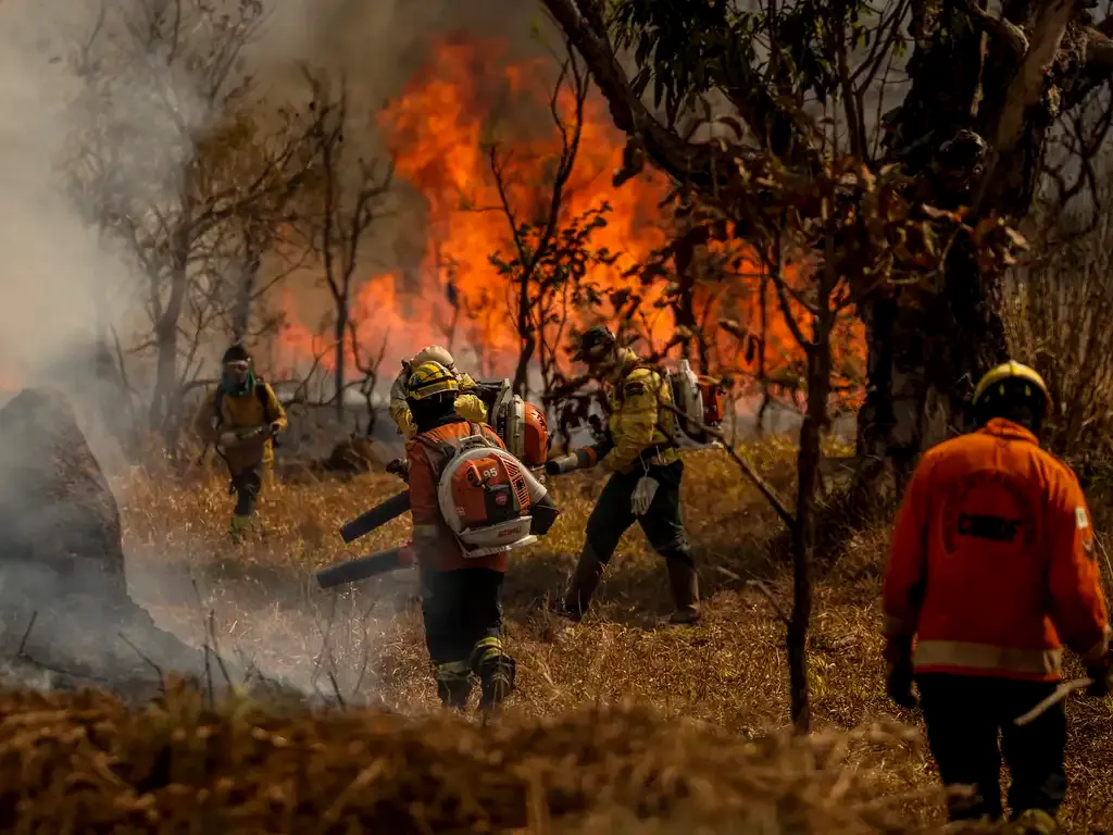 Amazônia bate recorde de queimadas em menos de um mês: 2,5 milhões de hectares