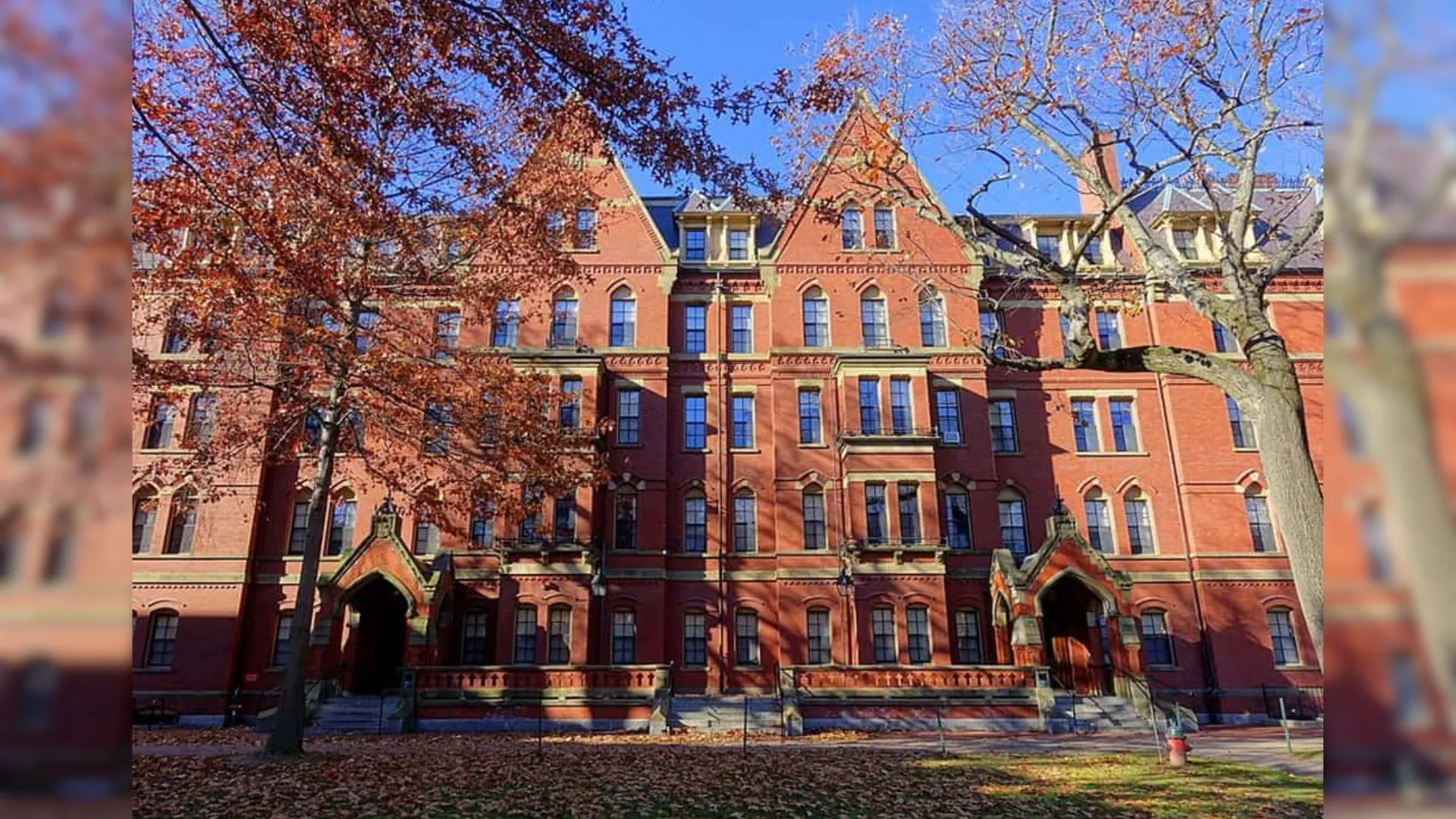 Juíza bloqueia tentativa de Trump de barrar estrangeiros em Harvard
