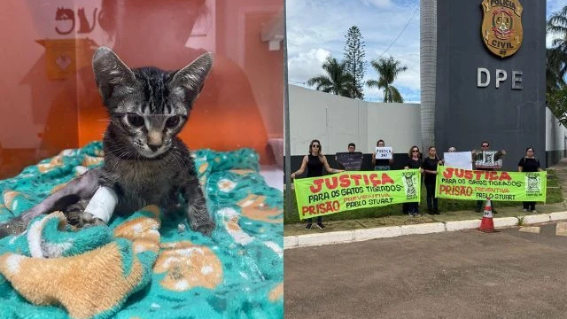 O caso gerou revolta entre protetores de animais, que se reuniram em frente ao Núcleo de Audiências de Custódia para pedir justiça. Foto: Reprodução| Redes Sociais