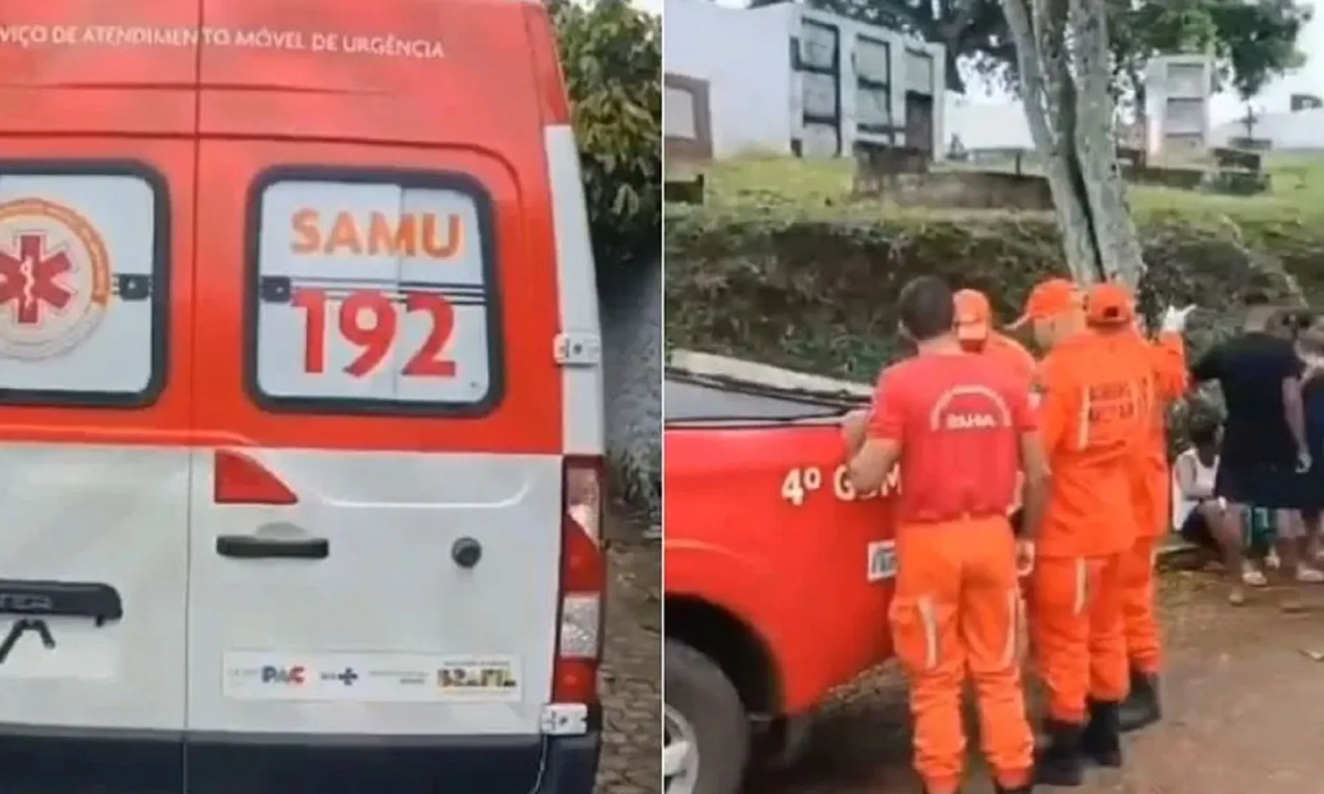 Ataque de abelhas interrompe sepultamento em Ilhéus, sul da Bahia