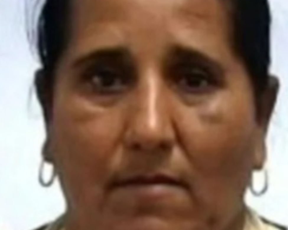Uma mulher identificada como Luzinete dos Santos Cardoso, de morreu ap&oacute;s ser atingida por um disparo de arma de fogo durante uma ocorr&ecirc;ncia envolvendo o saque de uma carreta que tombou na BR-116