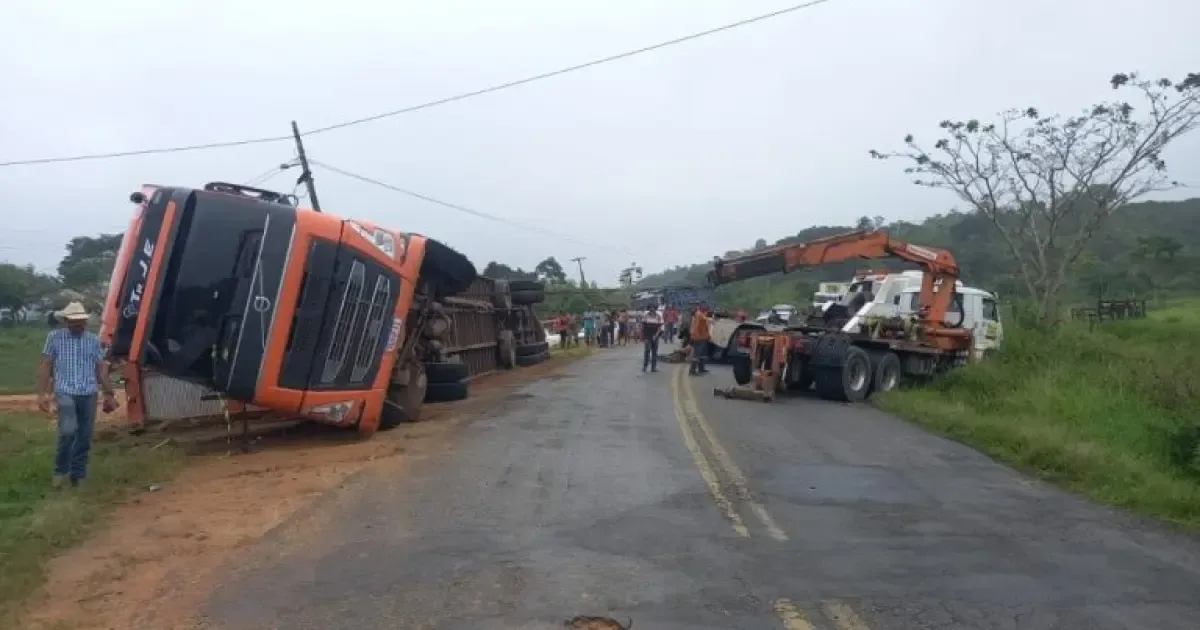 Caminhão com 70 bois tomba em curva na BA-650