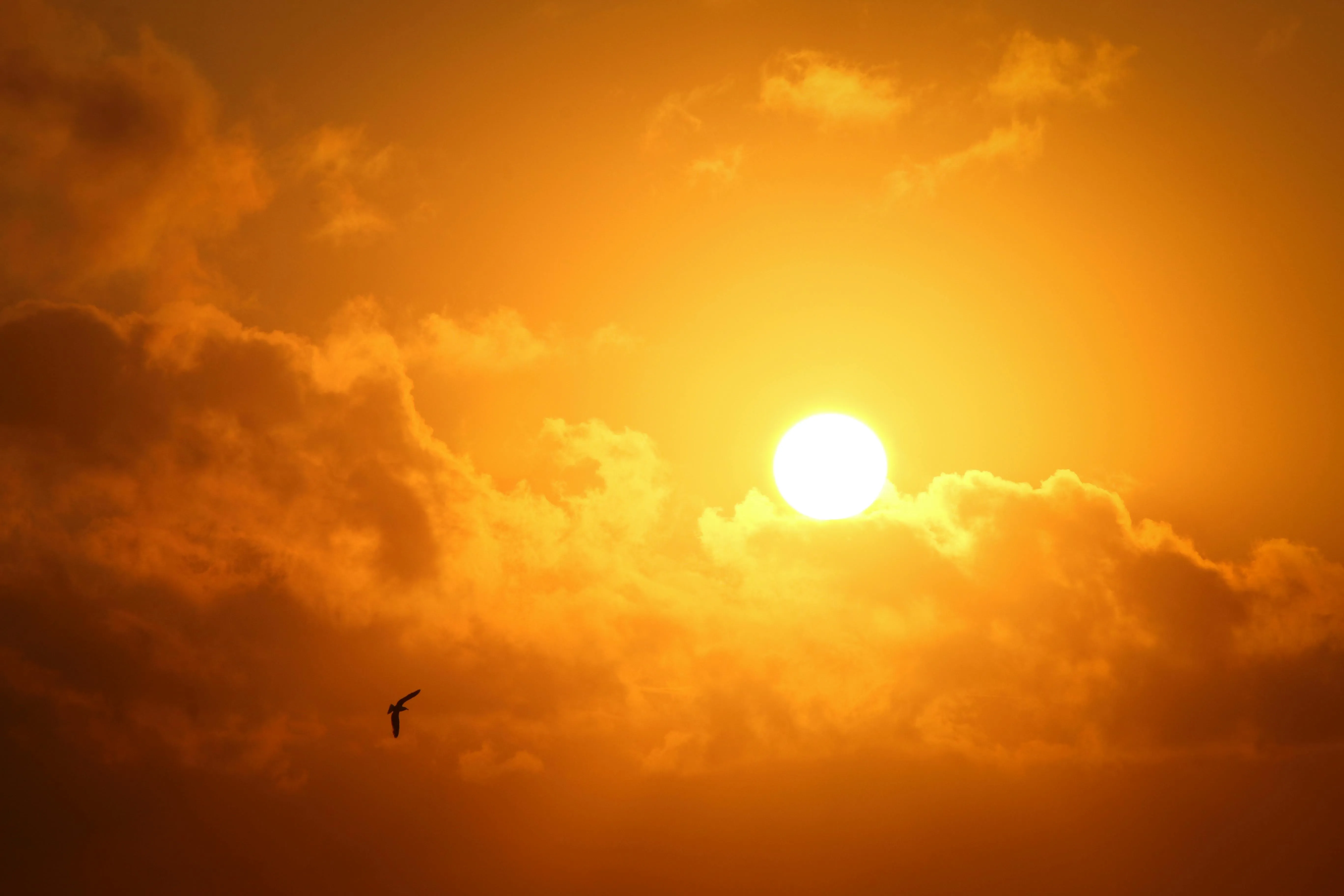 Onda de calor na Bahia