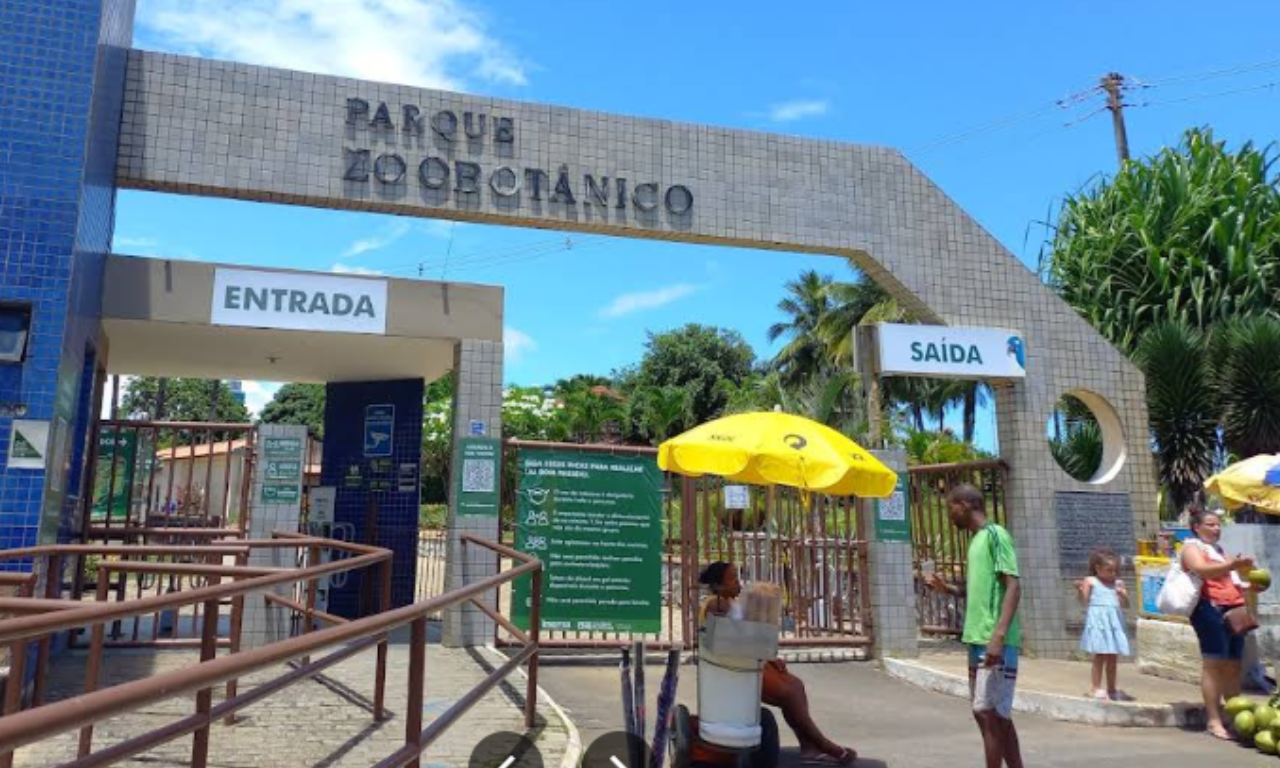 Zoológico de Salvador passa por reforma. Foto: Google Street View