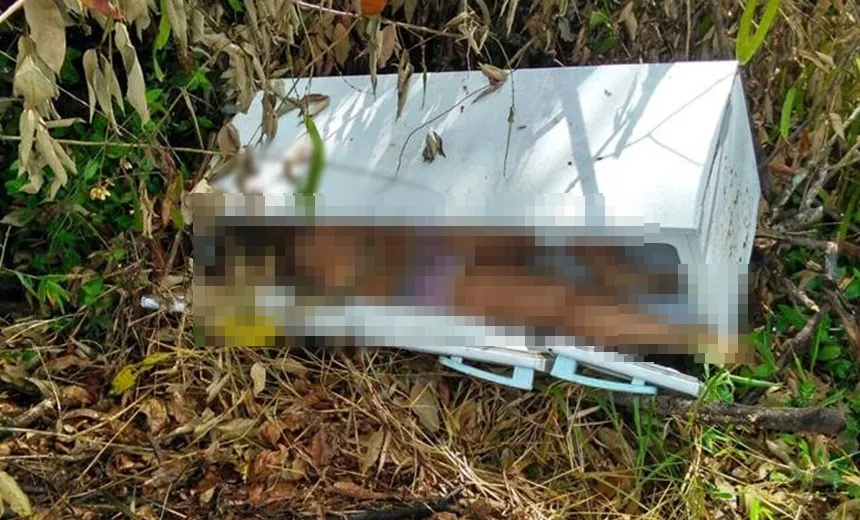 BARBARIDADE: Mulher é encontrada morta dentro de geladeira em Simões Filho