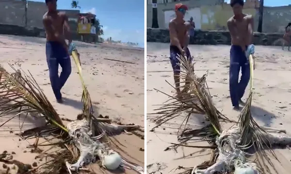 Ossada humana é encontrada por banhistas na Praia de Jauá; assista.Foto: Reprodução | X