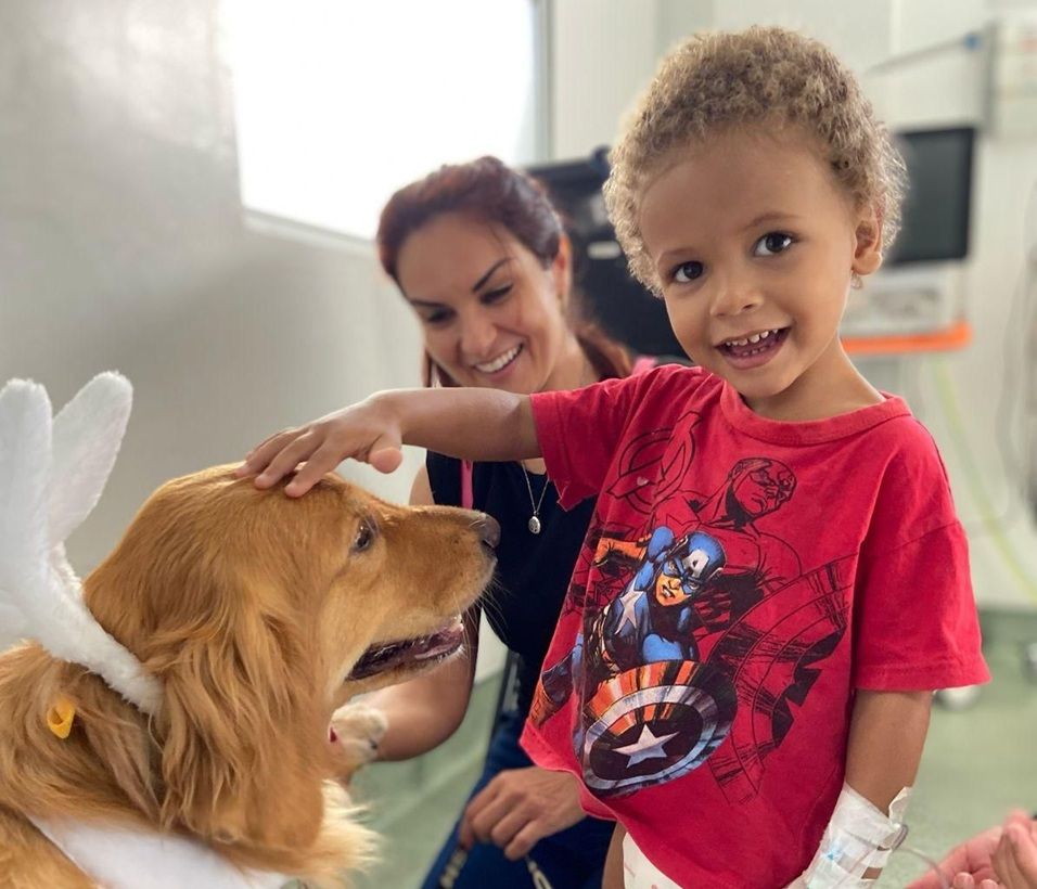 Cão Terapeuta Vestida De Coelhinha Leva Alegria Para Hospital Na Bahia