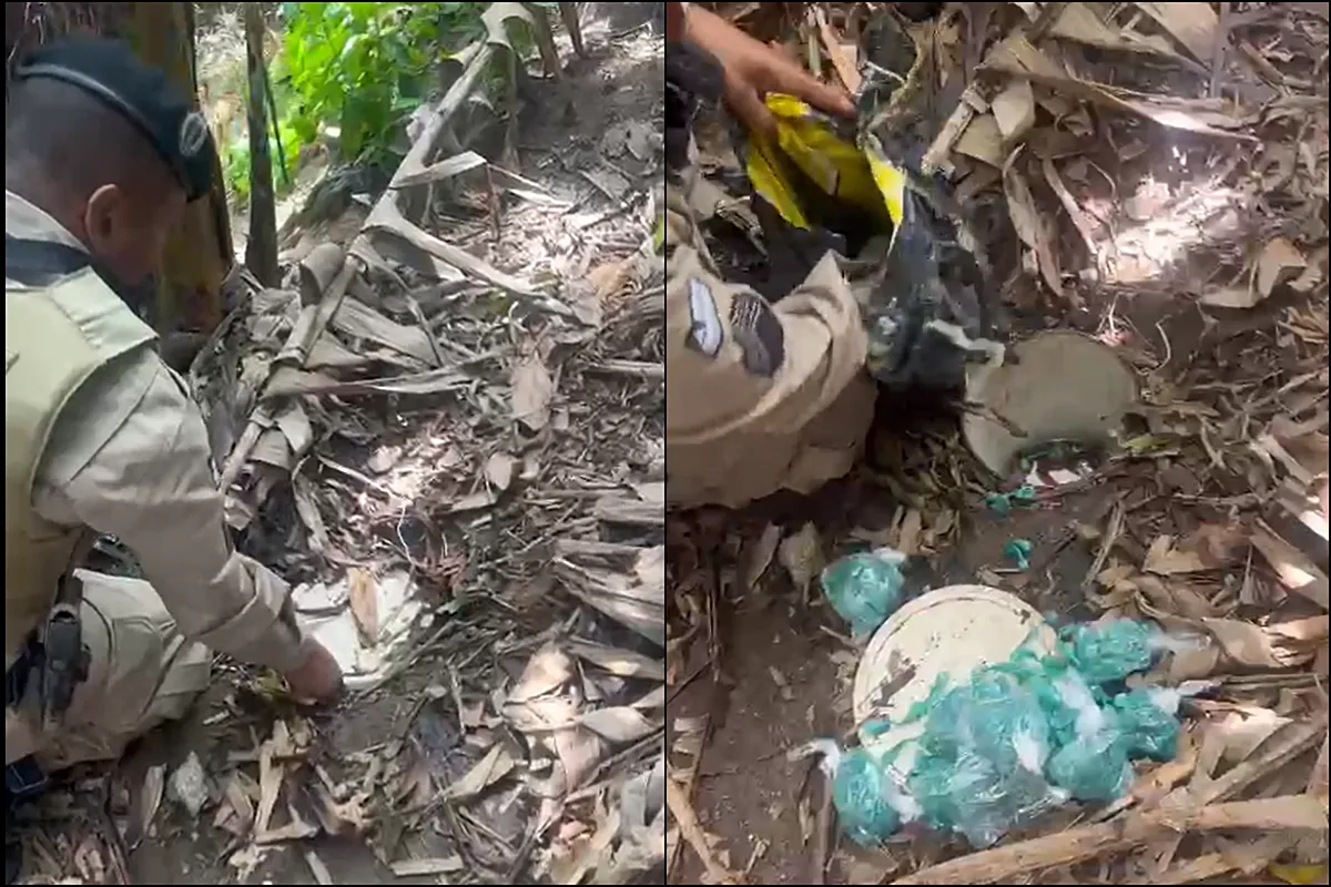 Mais de mil pedras de crack são encontradas em mata de Candeias