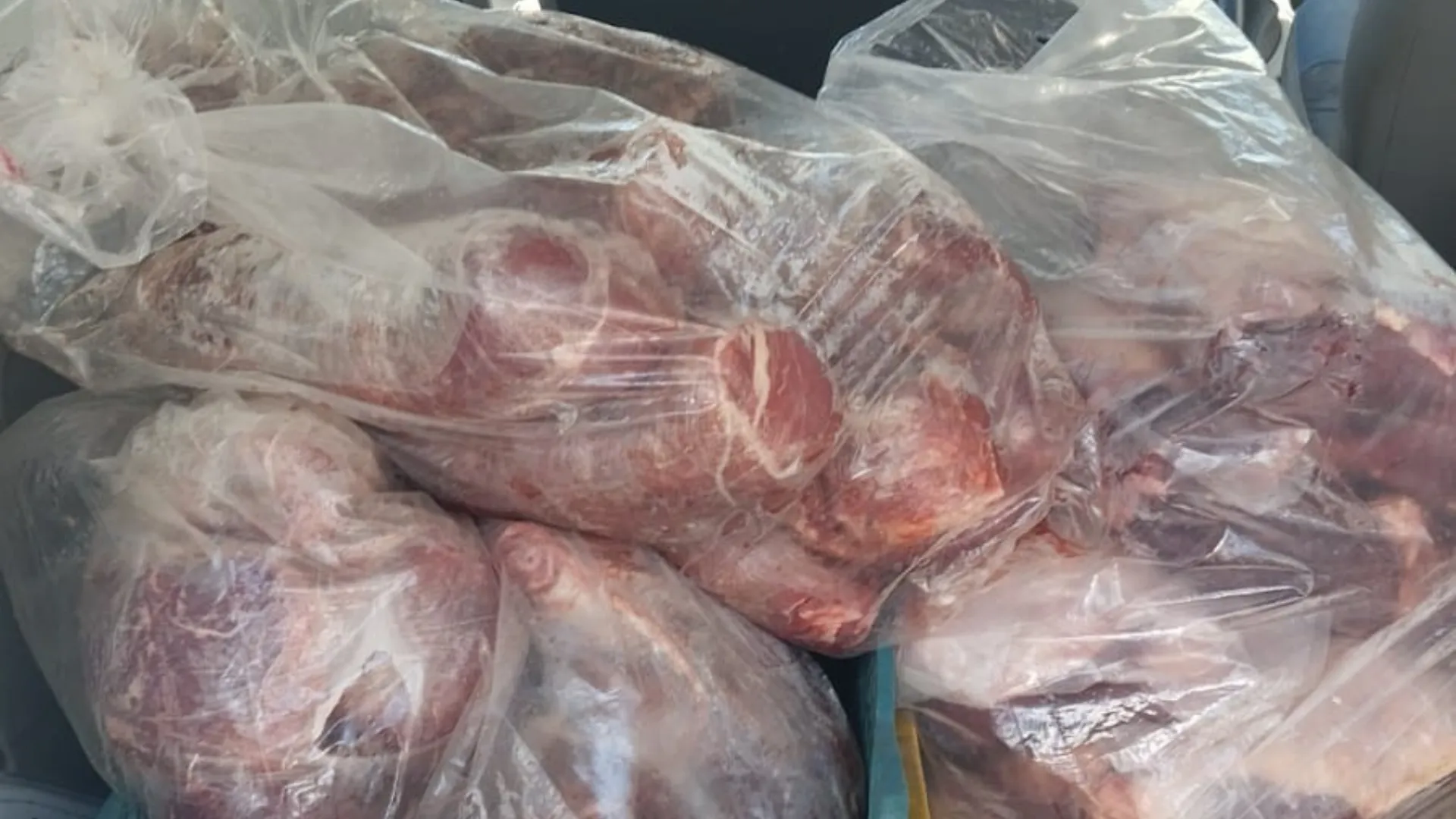  carne imprópria para consumo é apreendida em Salvador. Foto: Ascom PC