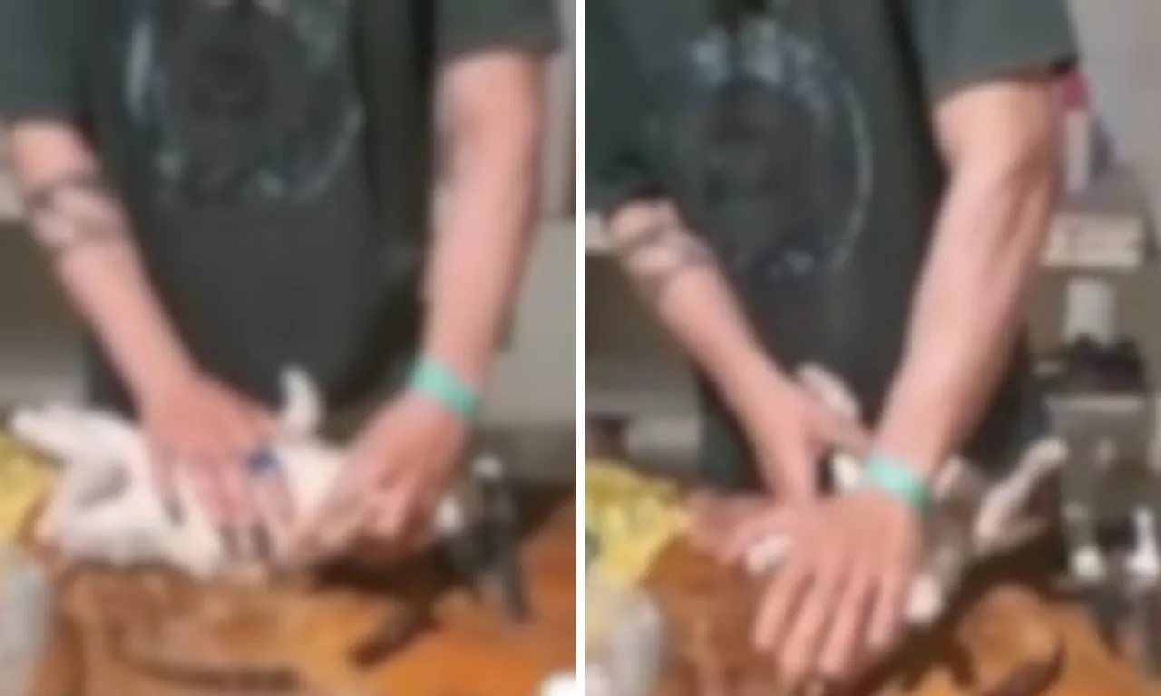 Jovem é preso por matar e se alimentar de cães e gatos de rua