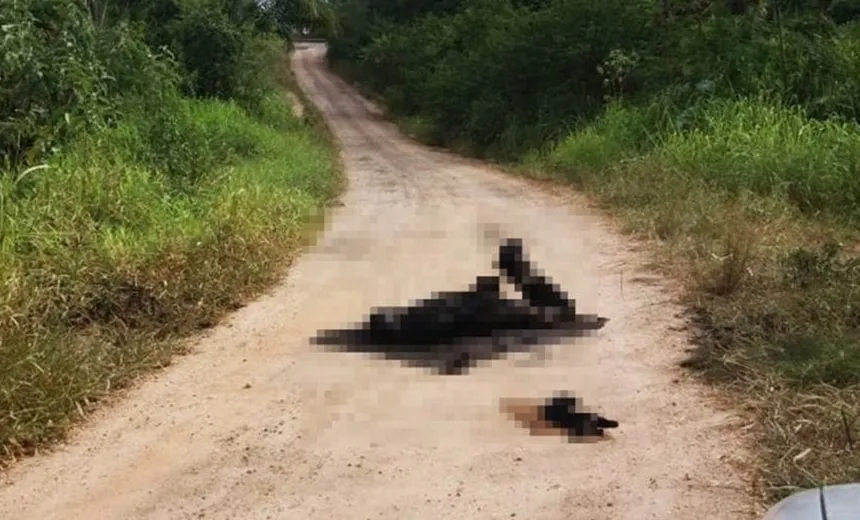 DPT identifica corpo carbonizado no distrito de Humildes, em Feira de Santana
