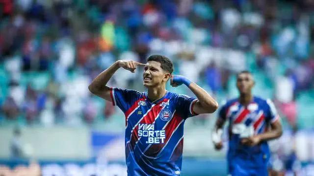 Bahia Erick Pulga
