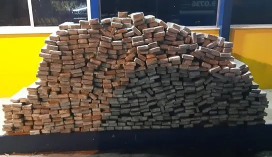 Polícia persegue carro de luxo roubado e acha mais de 500 kg de maconha na BR-101, na Bahia 