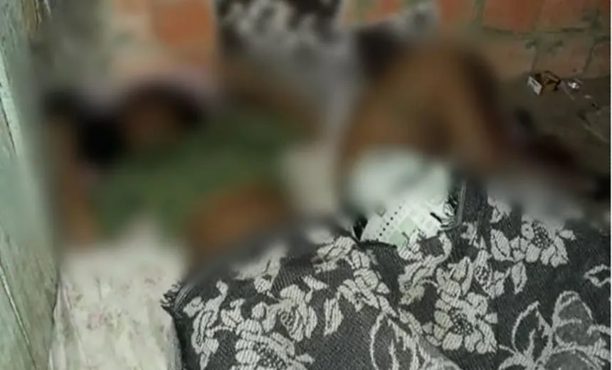 Homem e mulher são executados enquanto dormiam dentro de casa no sul da Bahia