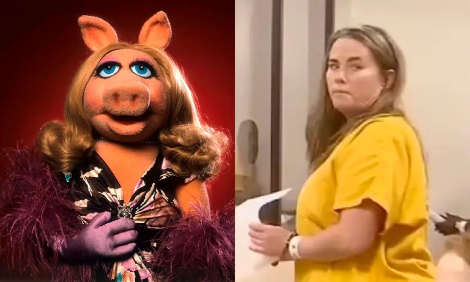 Mulher É Chamada De 'miss Piggy' Em Avião, Agride Criança E Termina Presa