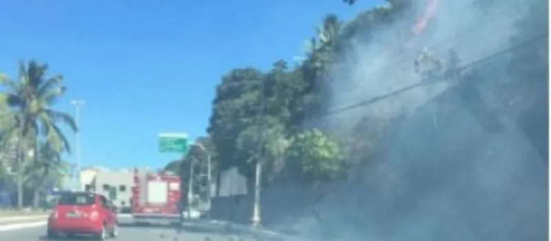 PEGANDO FOGO: Incêndio atinge vegetação de encosta na Avenida Lucaia; Não há informações sobre a causa