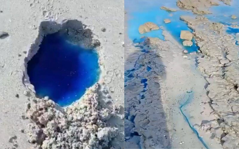 Contamina&ccedil;&atilde;o qu&iacute;mica em ambientes costeiros pode causar desequil&iacute;brios ecol&oacute;gicos que persistem por anos, afetando a reprodu&ccedil;&atilde;o e sobreviv&ecirc;ncia de diversas esp&eacute;cies marinhas/Foto: Reprodu&ccedil;&atilde;o