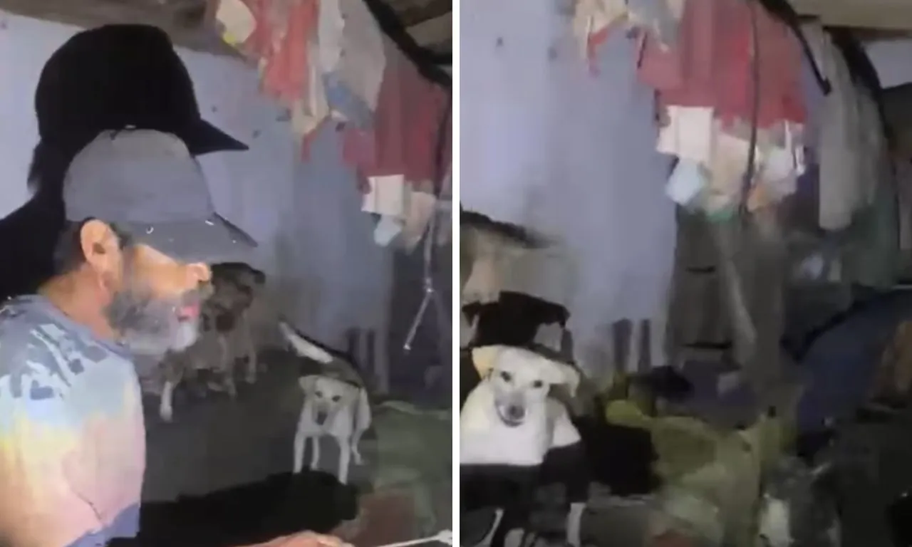 Homem é preso suspeito de maus-tratos após morte de cachorro na Bahia