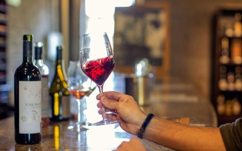 Os r&oacute;tulos argentinos escolhidos destacam regi&otilde;es renomadas como Mendoza e Patag&ocirc;nia, conhecidas pela excel&ecirc;ncia na produ&ccedil;&atilde;o de Malbec e Pinot Noir/Foto: Freepik