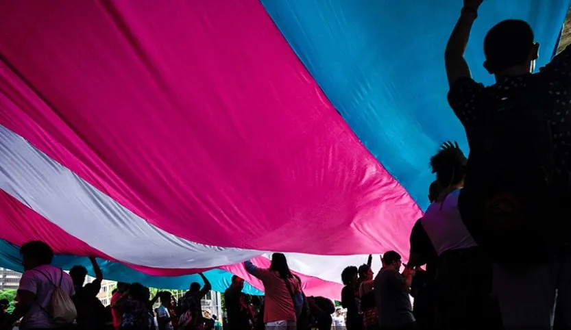 Entre conquistas e vulnerabilidades: desafios marcam a realidade da população trans no Brasil 