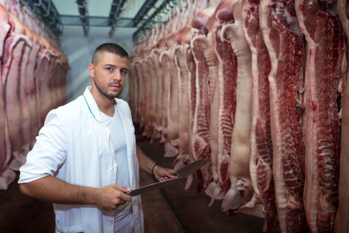 Dentre as vagas de emprego ofertadas nesta terça estão: auxiliar de produção, telemarketing, açougueiro, eletricista e auxiliar de cozinha. Foto: Ilustrativa/Freepik