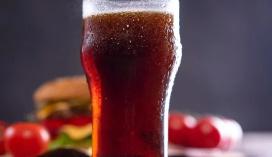 Pesquisa da USP mostra que consumir salgadinhos e refrigerantes pode contribuir para a perda cognitiva