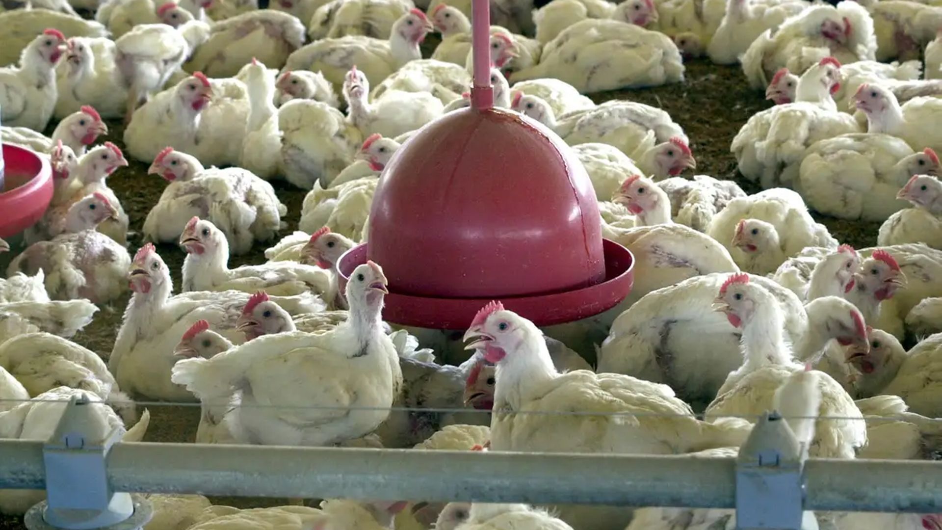 Foto: arquivo/Agência Brasil