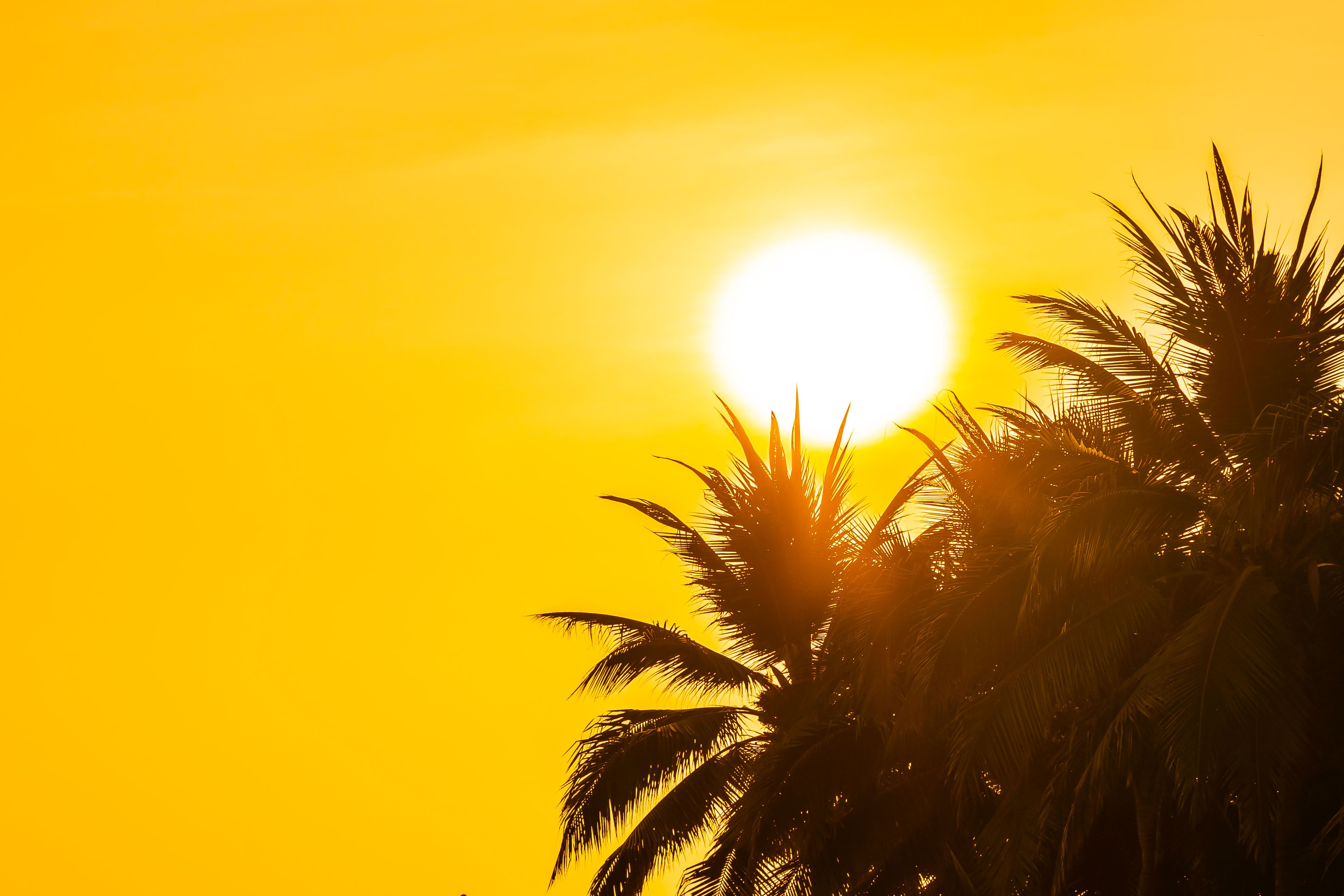 El Ni&ntilde;o pode causar aumento das temperaturas no Brasil