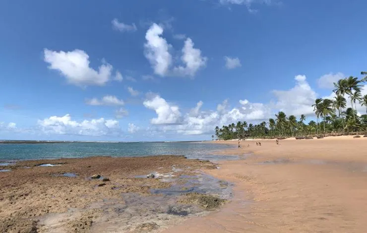 Turista mineiro morre afogado em praia do sul da Bahia