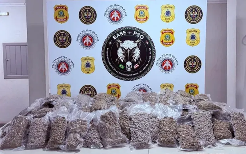 Casos envolvendo maconha têm sido frequentes em operações policiais na Bahia, principalmente em municípios considerados rotas estratégicas para o tráfico interestadual/Foto: Divulgação/PF