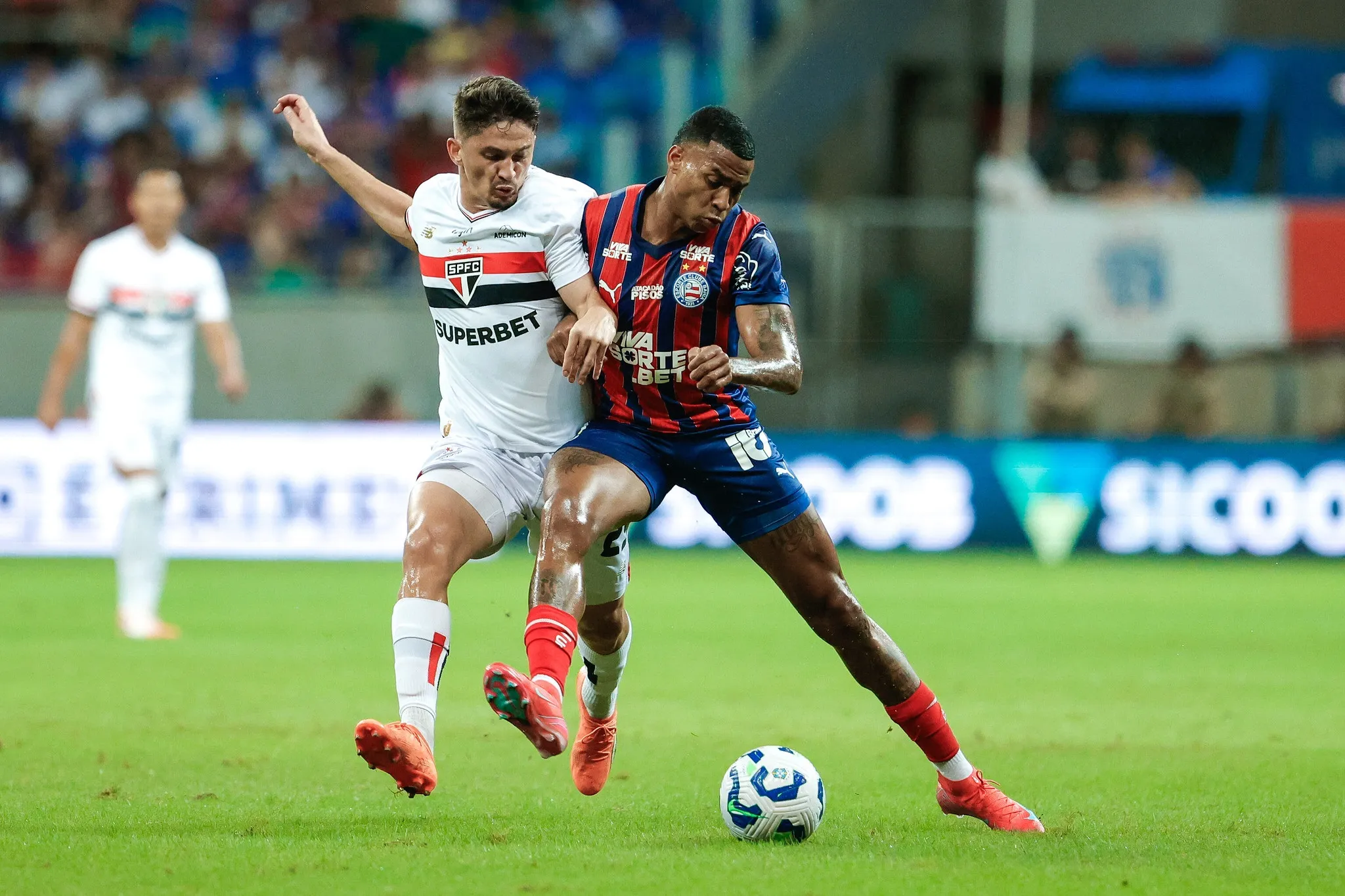São Paulo x Bahia: onde assistir ao vivo, horário e prováveis escalações