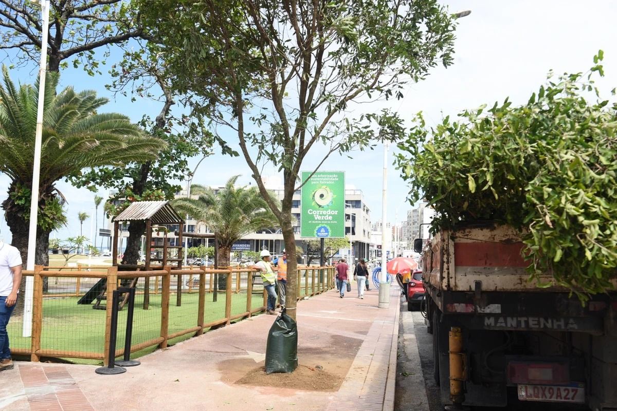 Foto Panor&acirc;mica De Rua Movimentada Do Bairro Da Pituba
