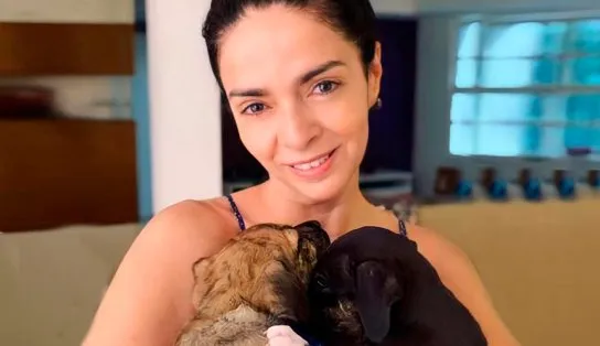 Cães devolvidos pela atriz Claudia Ohana ainda não foram adotados e ONG faz apelo; "entraram em depressão"