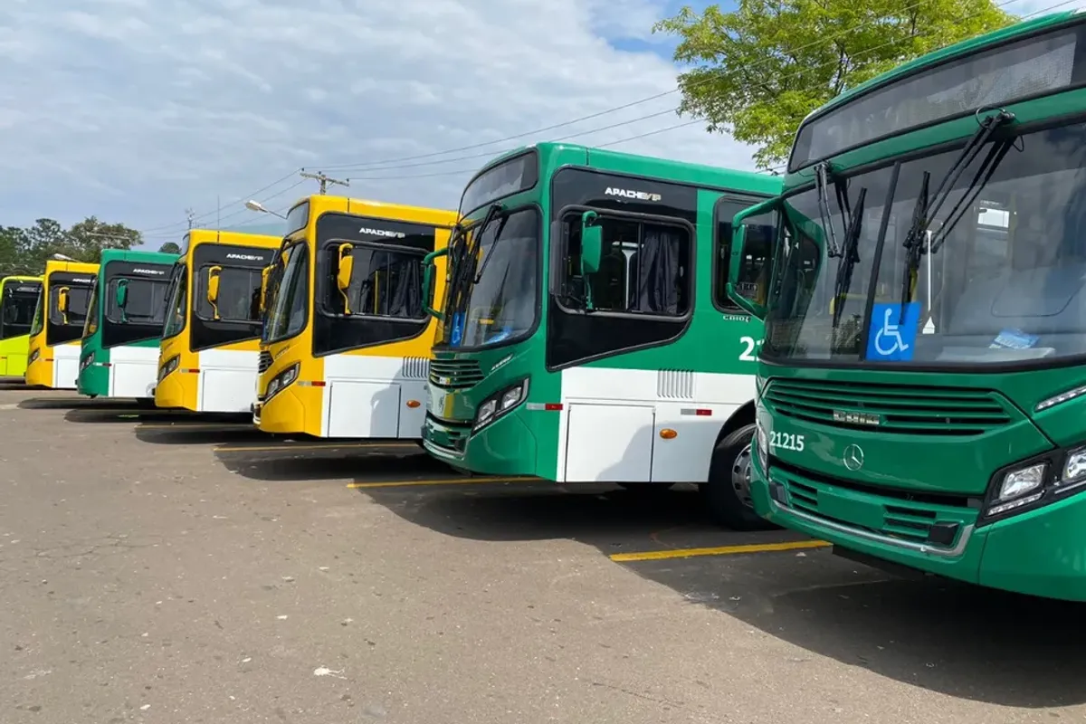 Linhas especiais de ônibus vão atender usuários. Foto: Divulgação