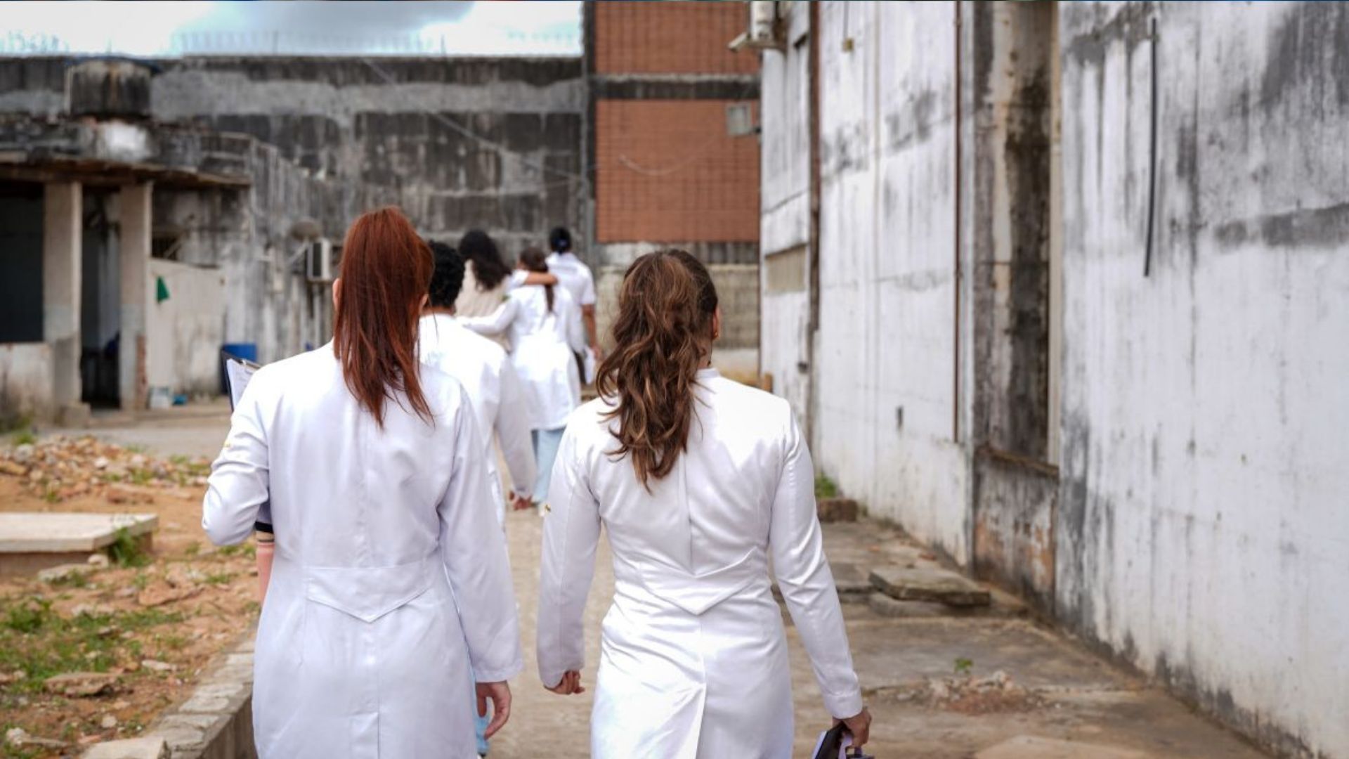 Seap Tuberculose Plb 02