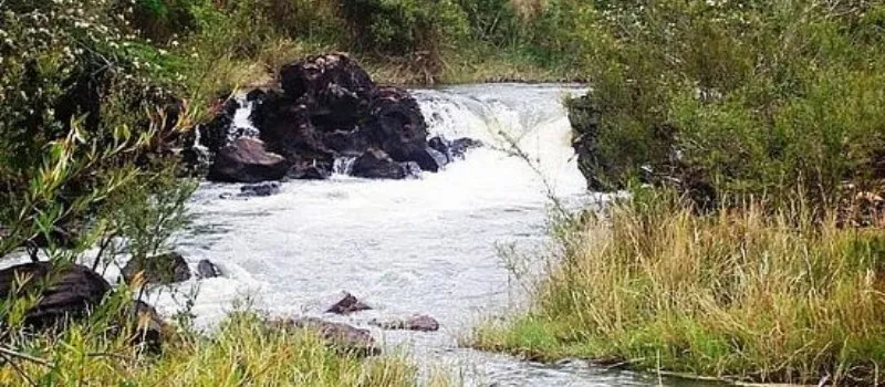 ‘DARK WATER’: PF deflagra operação de combate a crimes ambientais no interior do estado