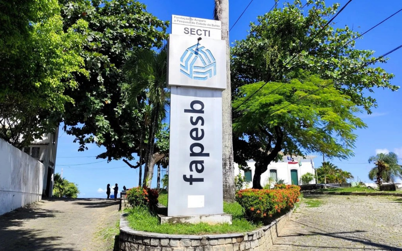 Sele&ccedil;&atilde;o REDA n&atilde;o garante estabilidade, mas oferece experi&ecirc;ncia relevante no setor p&uacute;blico e pode fortalecer o curr&iacute;culo profissional/Foto: Divulga&ccedil;&atilde;o/Fapesb