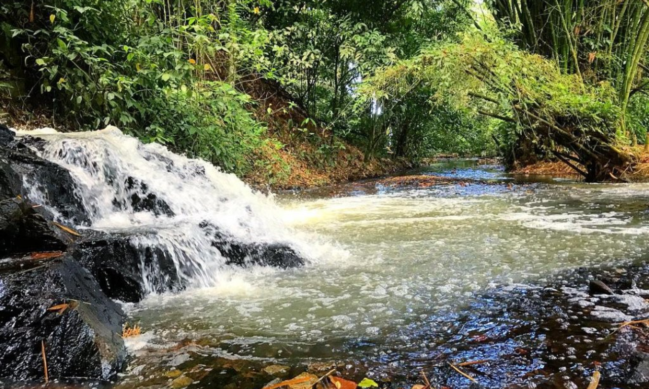 Parque S&atilde;o Bartolomeu. Foto: Reprodu&ccedil;&atilde;o