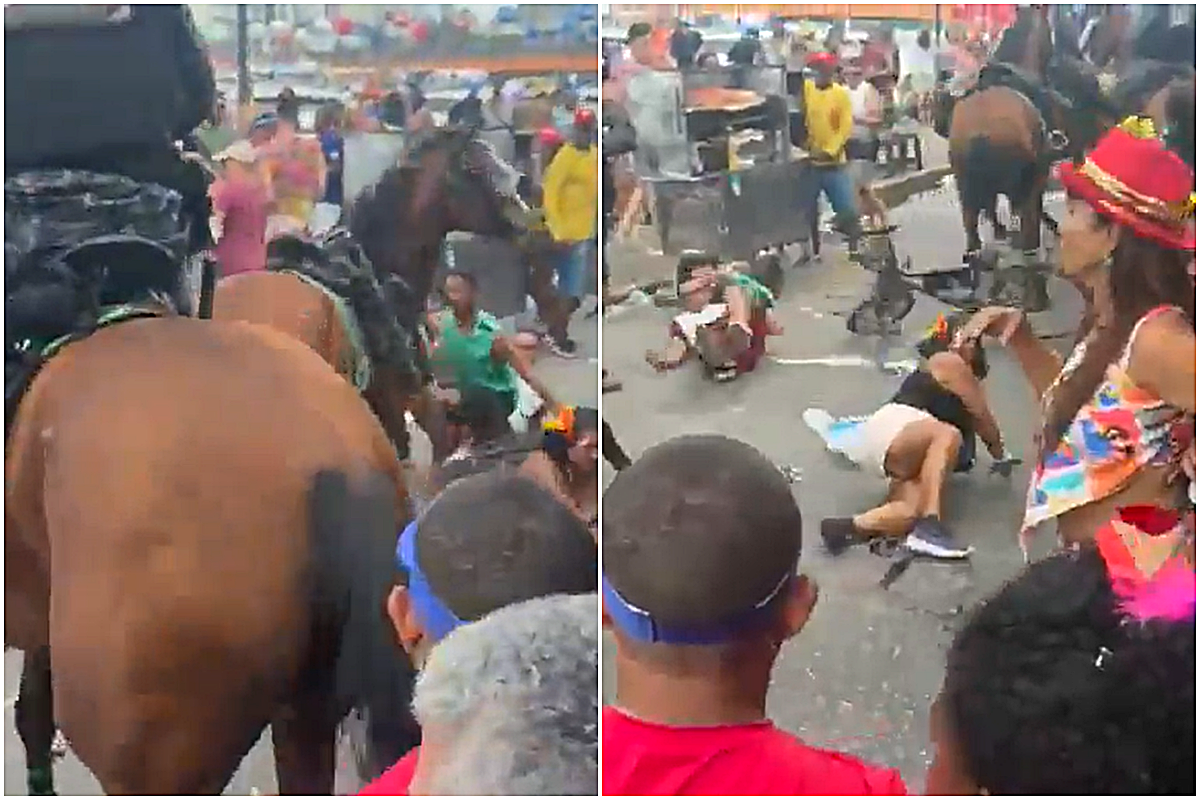 Devido ao som alto, um cavalo da PM atropelou os foli&otilde;es no Carnaval de Recife, deixando  duas pessoas feridas. Foto: Redes Sociais