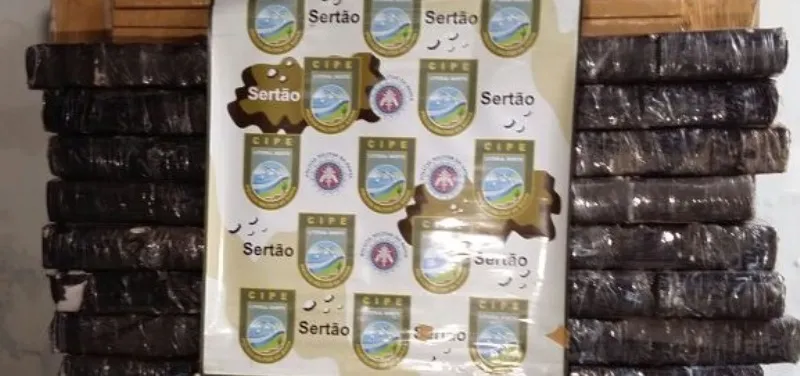 TRÁFICO: Ação da polícia apreende uma tonelada de maconha em região de Feira de Santana