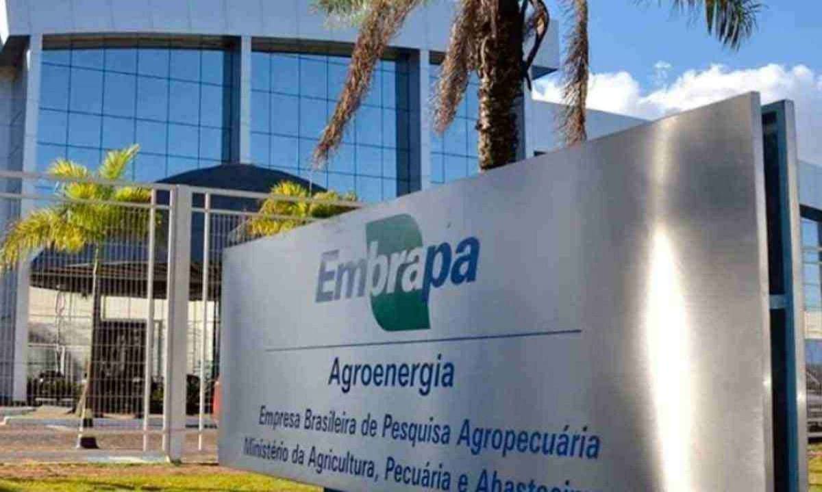 Concurso da Embrapa segue para as provas práticas. Foto: Divulgação / Embrapa