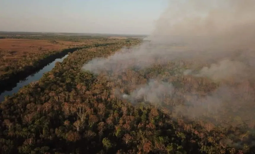 Quatro estados brasileiros pedem ajuda das Forças Armadas para combate a incêndios