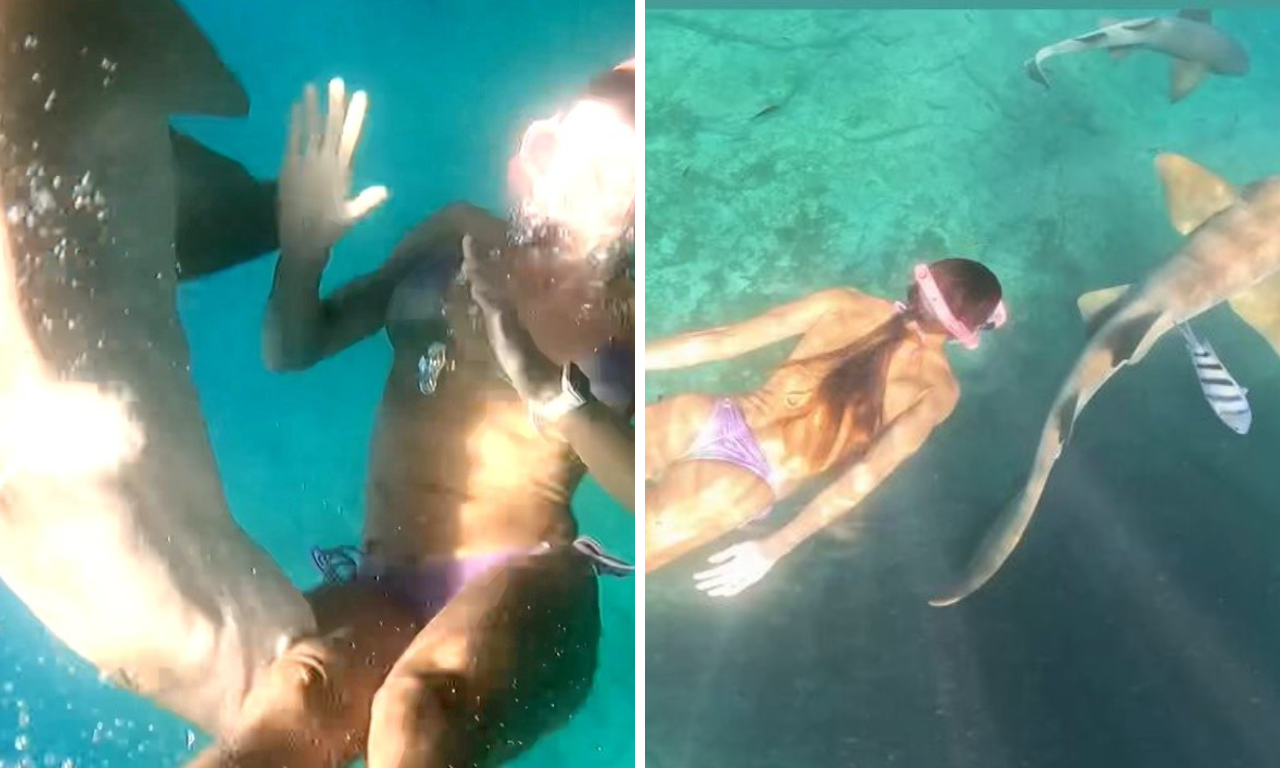V&iacute;deo flagra momento em que turista &eacute; mordida por tubar&atilde;o em Noronha.Foto: redes sociais