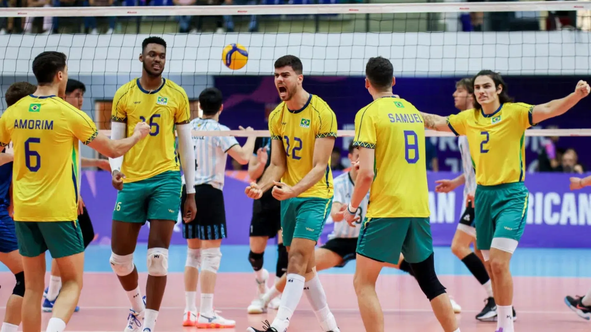 Volei pan junior