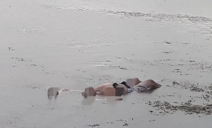 Corpo de desaparecido após confusão no mar é localizado na praia de Plataforma