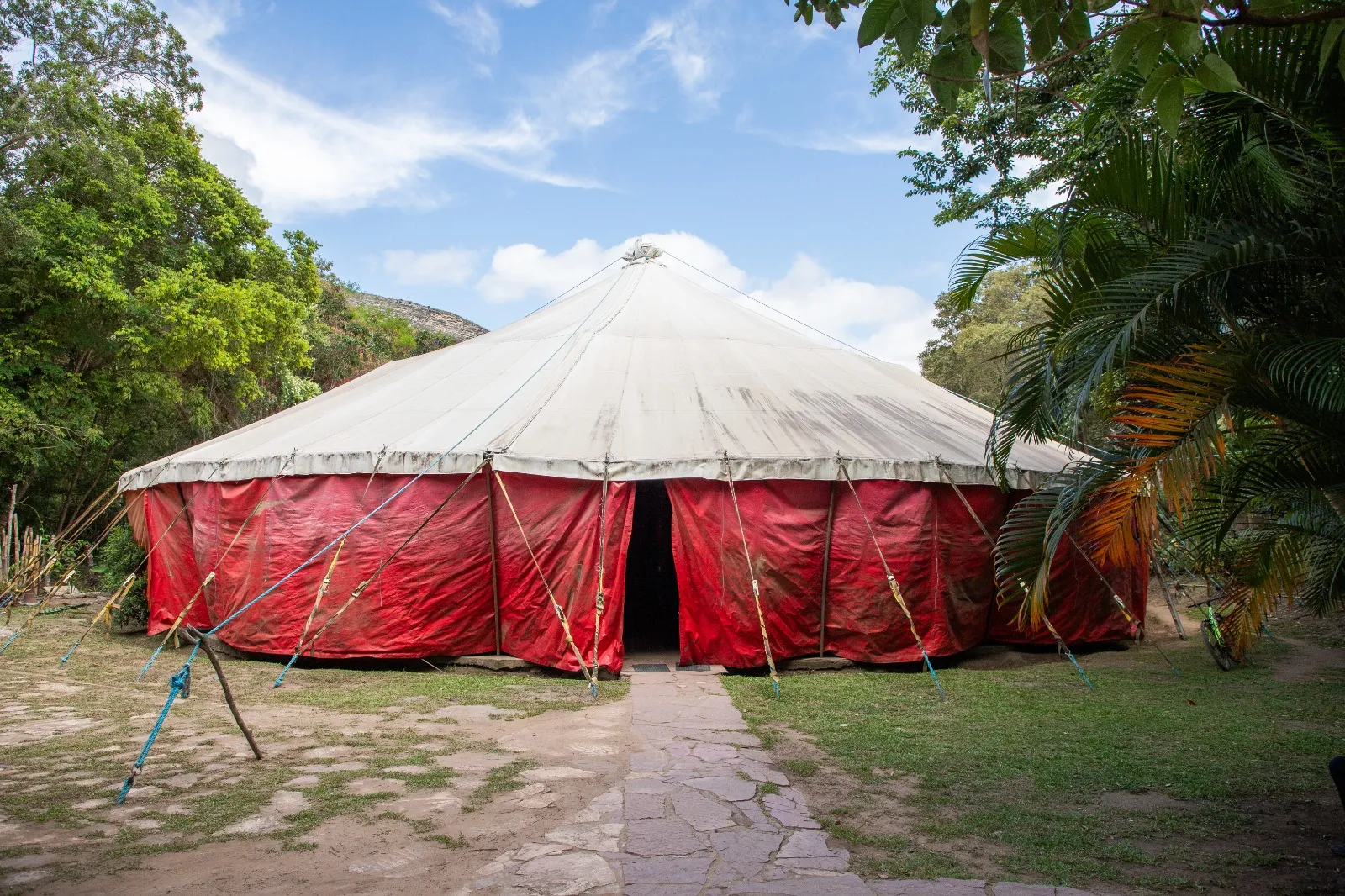 Funceb abre inscrições para o Programa Qualificação no Circo; veja bolsas