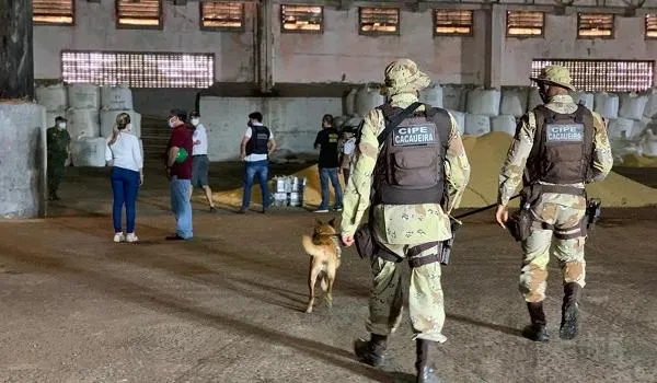 Polícia apreende 200 Kg de cocaína em carga na cidade de Ilhéus; material seria enviado para Holanda