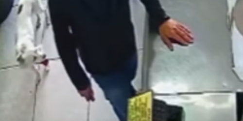Segundo informa&ccedil;&otilde;es da Pol&iacute;cia Civil, a cadela estava com um jovem de 20 anos durante uma tentativa de roubo a uma loja de utilidades