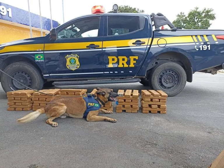 Homem é preso com 100 kg de maconha durante fiscalização na BR 116, em Vitória da Conquista